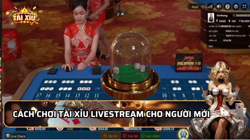 Cách chơi Tài Xỉu Livestream cho người mới