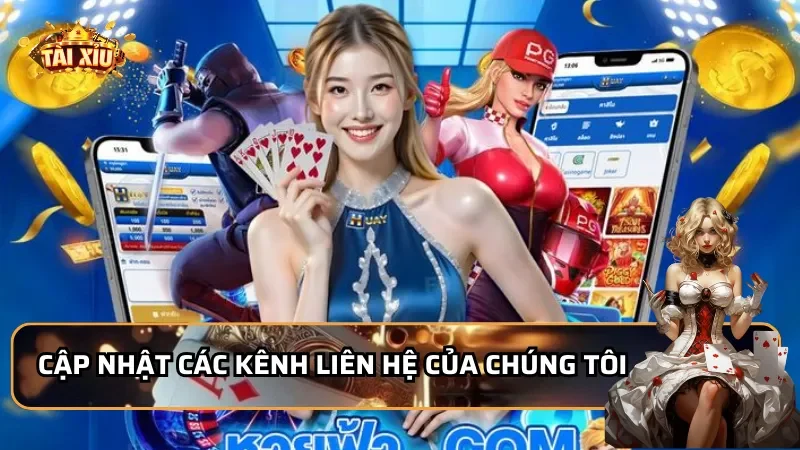 Cập nhật các kênh liên hệ của chúng tôi