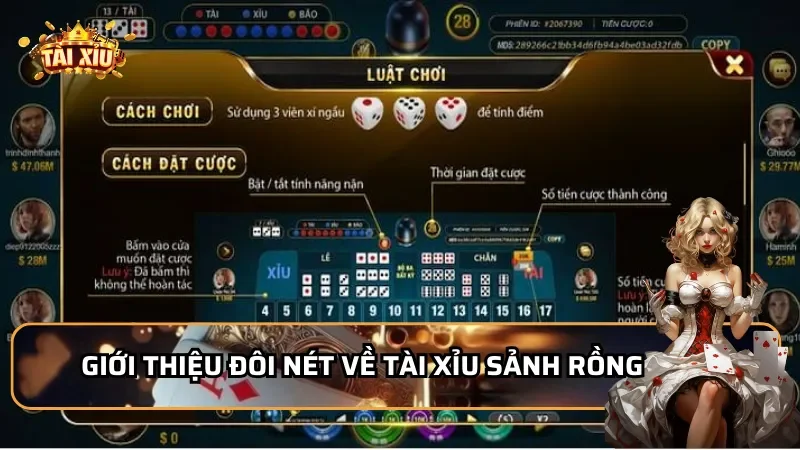 Giới thiệu đôi nét về Tài xỉu sảnh rồng