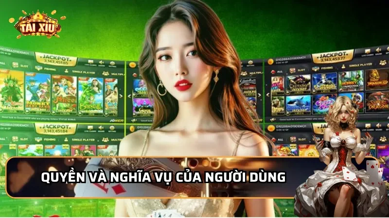 Quyền và nghĩa vụ của người dùng