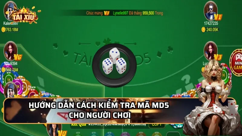 Hướng dẫn cách kiểm tra mã MD5 cho người chơi